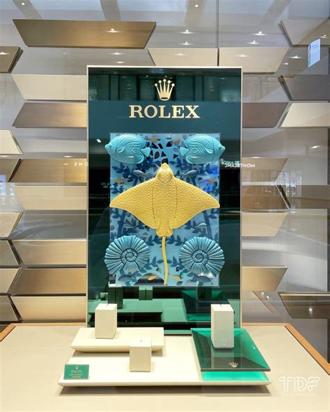 rolex exhibition watches